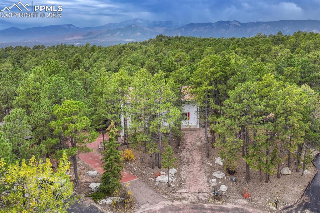 Image 3 of 50: Tranquil, serene setting with abundant mature trees and mountains in the ba