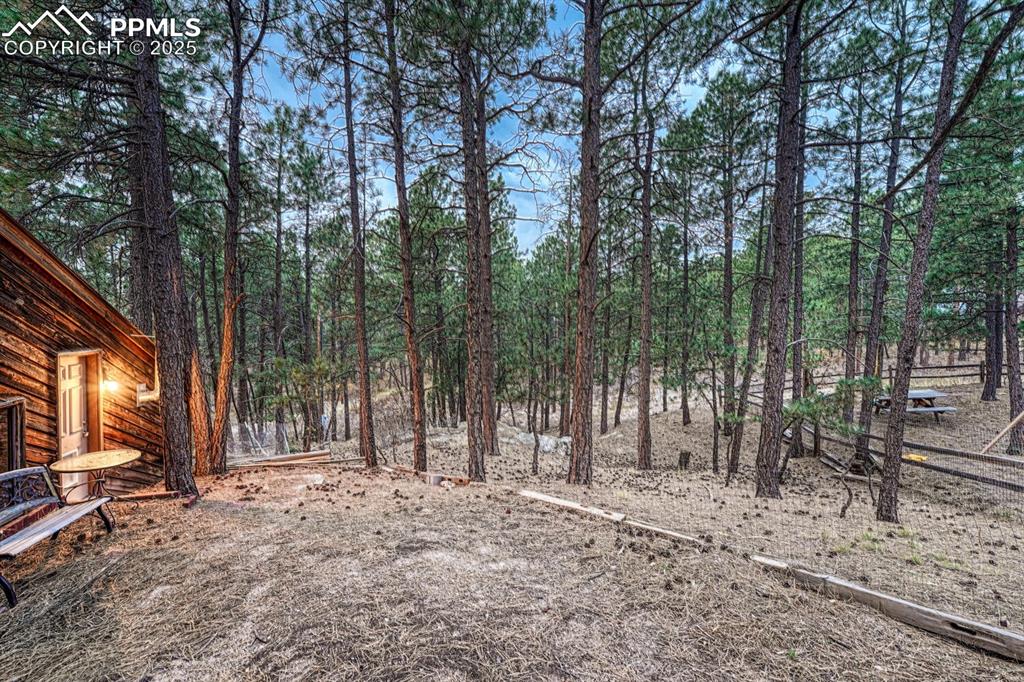 Image 47 of 50: Side yard with views of the o.64 acre treed lot.