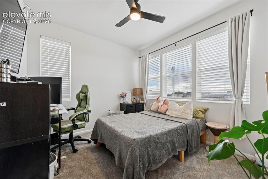 Image 16 of 31: Carpeted flooring, white walls, multiple windows with blinds, black ceiling