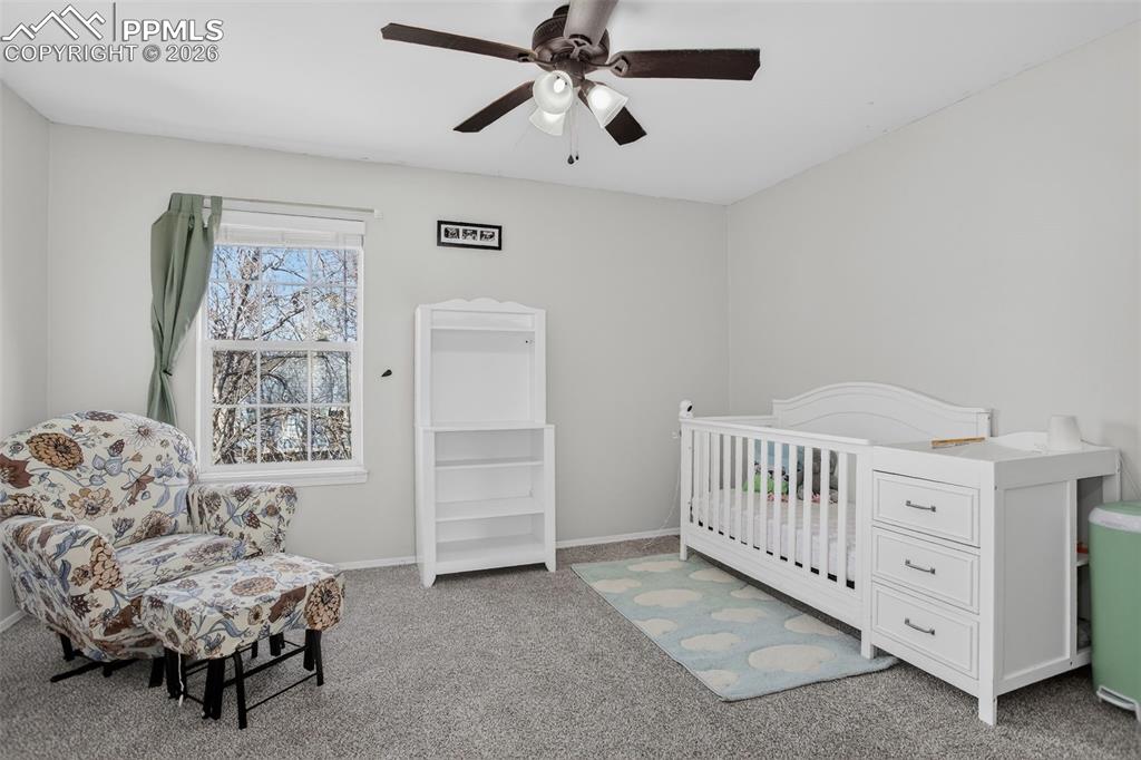 Image 17 of 32: No Description Available