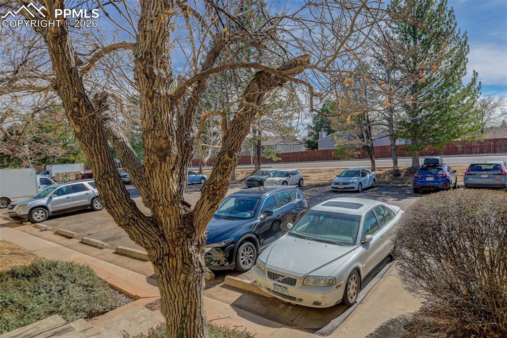 Image 29 of 32: No Description Available