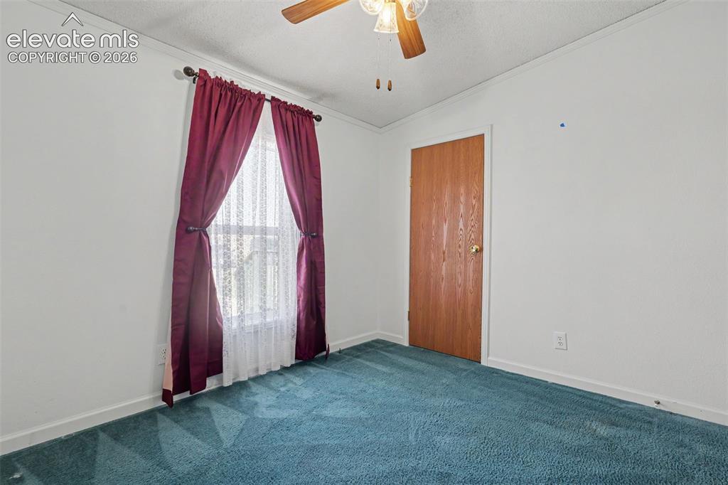 Image 17 of 26: Interior room featuring a window with white trim, a wood-finish door, and w