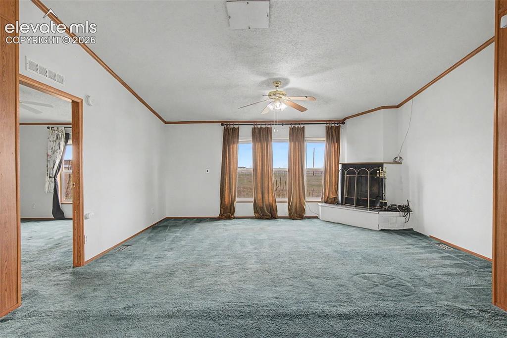Image 4 of 26: Spacious room featuring teal carpeting and white walls with wood-finish tri