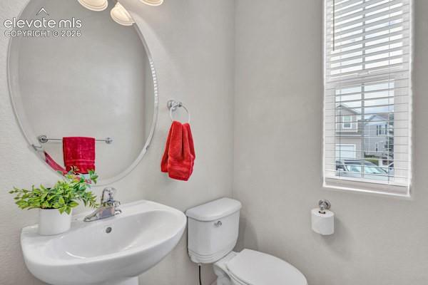 Image 15 of 35: Adorable Powder Room on Main for Your Guests!