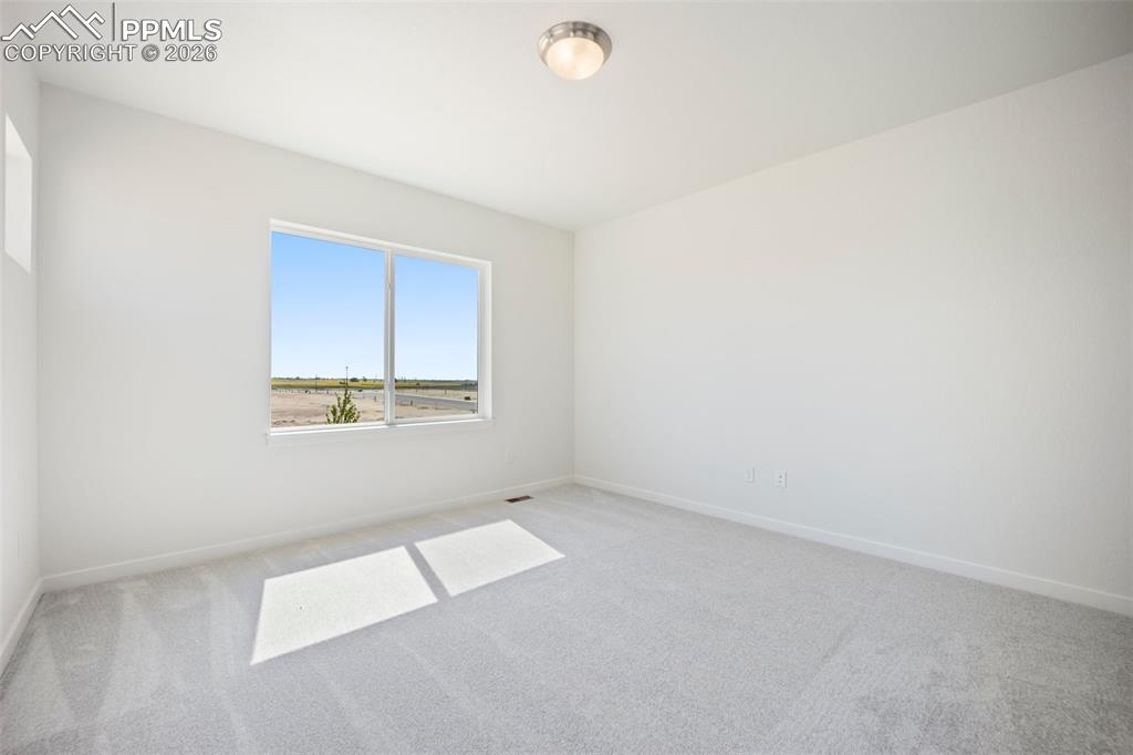 Image 20 of 37: Other