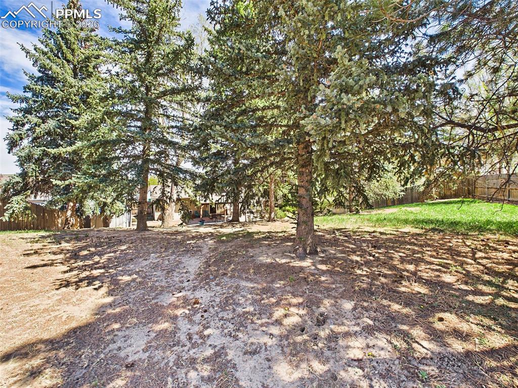 Image 47 of 50: Generous lot with established trees and open space, ideal for relaxing, gar