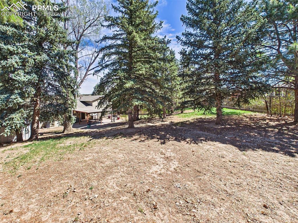 Image 48 of 50: Wide backyard view showcasing multiple mature trees and a blend of open and