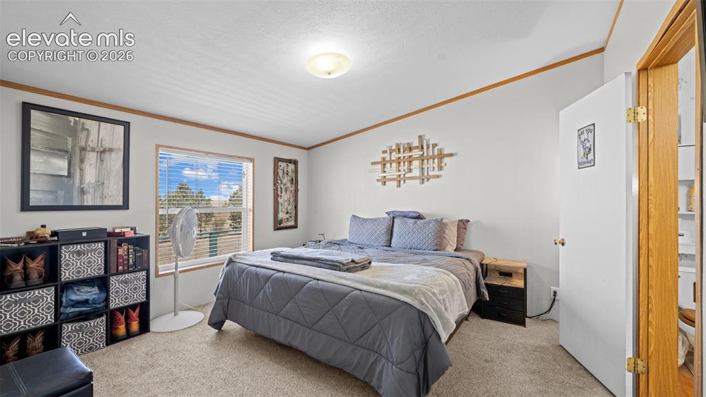 Image 16 of 40: Carpeted interior space featuring a single window with horizontal blinds, a