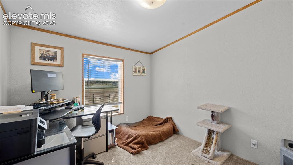Image 19 of 40: Room featuring neutral wall finishes and carpet flooring