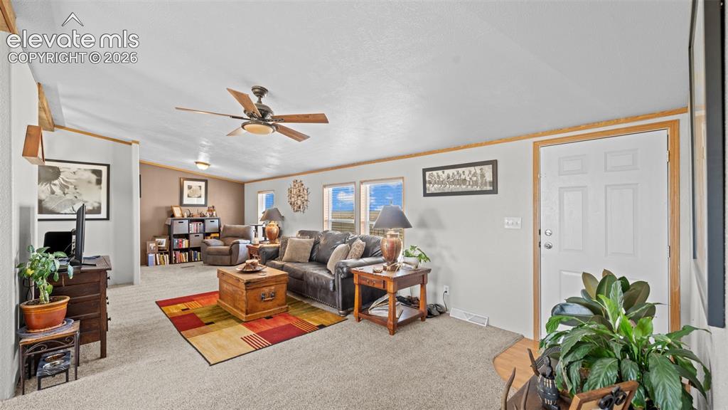 Image 5 of 40: Spacious living area featuring neutral carpeting, light-toned walls, and wo