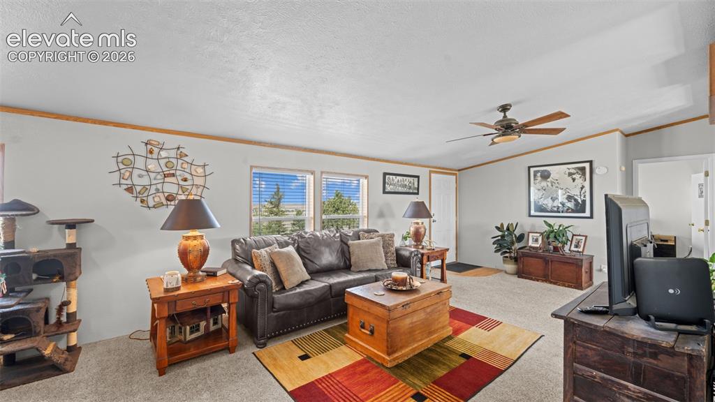 Image 6 of 40: Spacious living area featuring light-toned walls and wood-finish trim