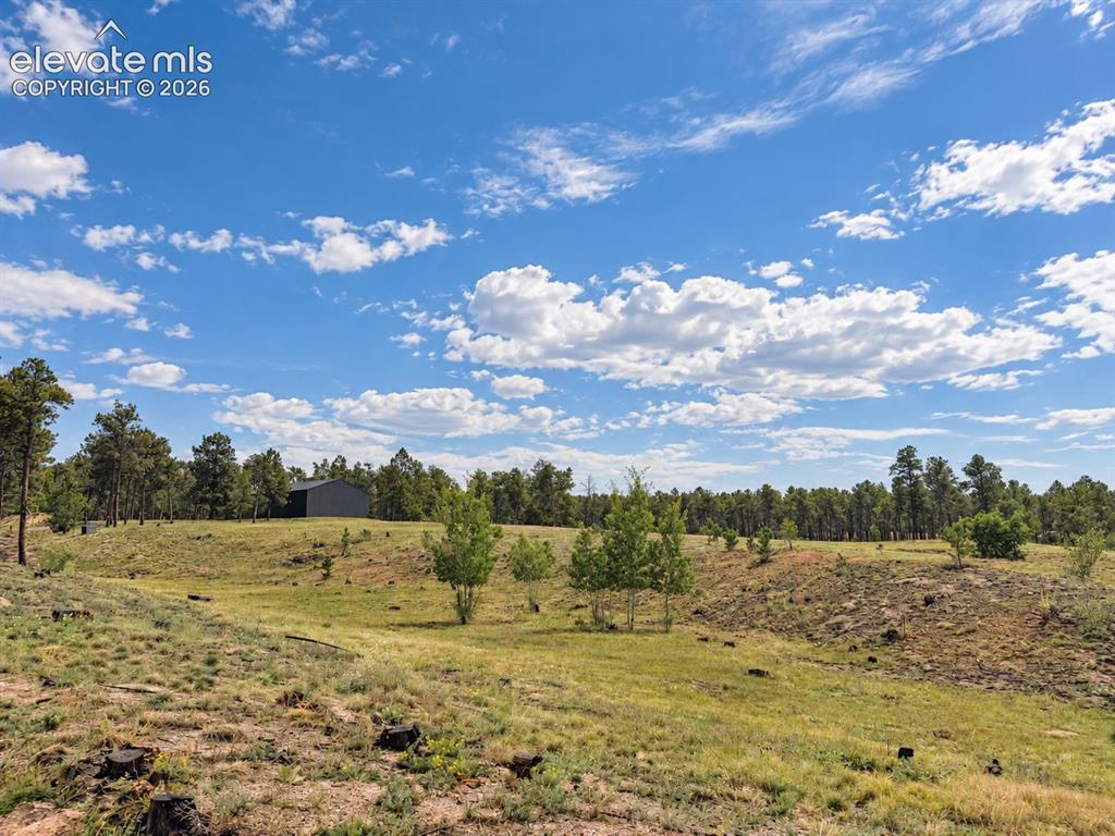 Image 6 of 24: Expansive 5 acre, private gated lot