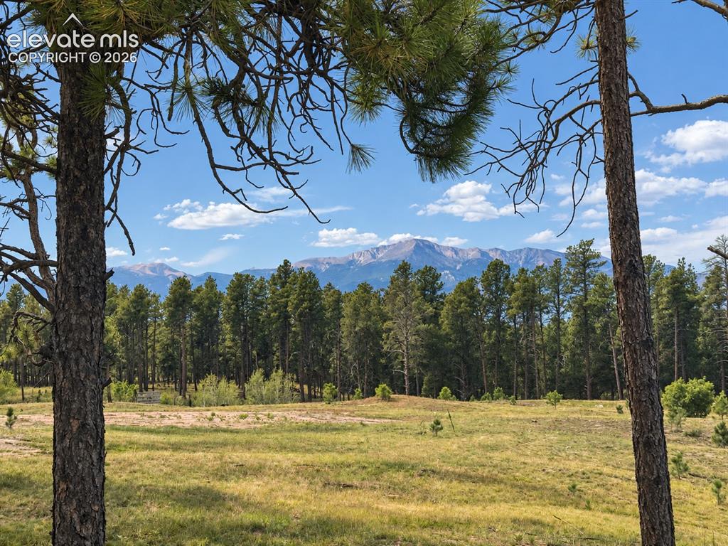Image 8 of 24: Pikes Peak Views and expansive, treed sloping lot