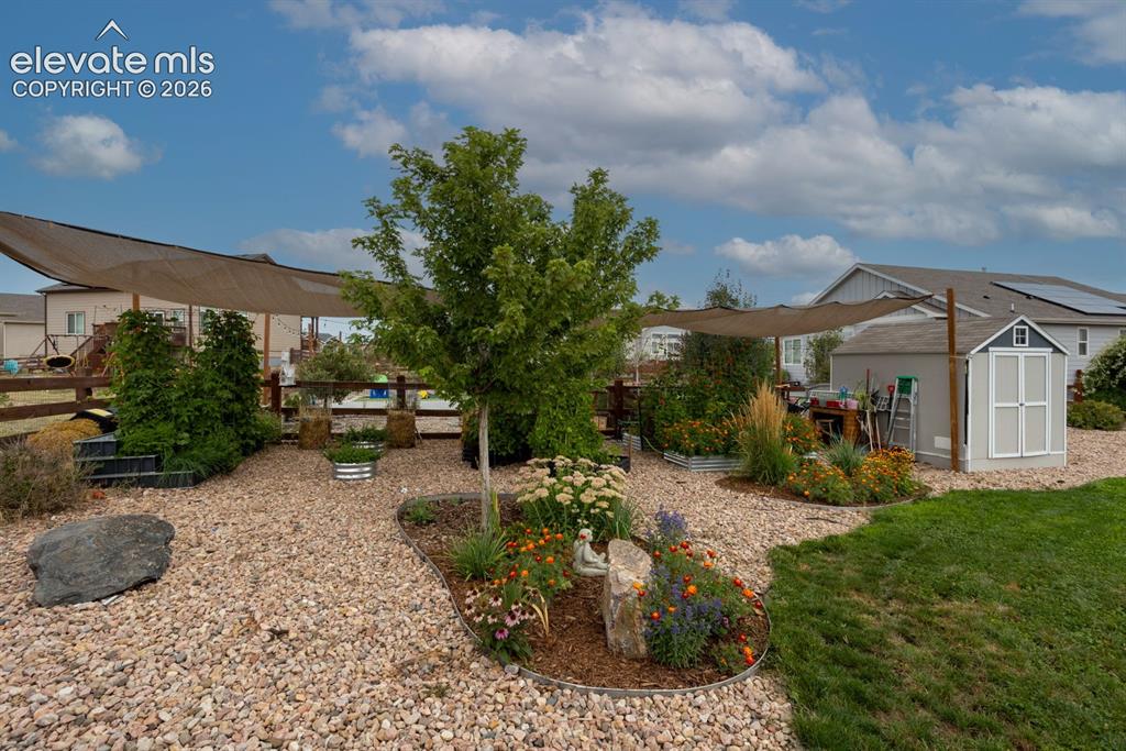 Image 18 of 21: Yard