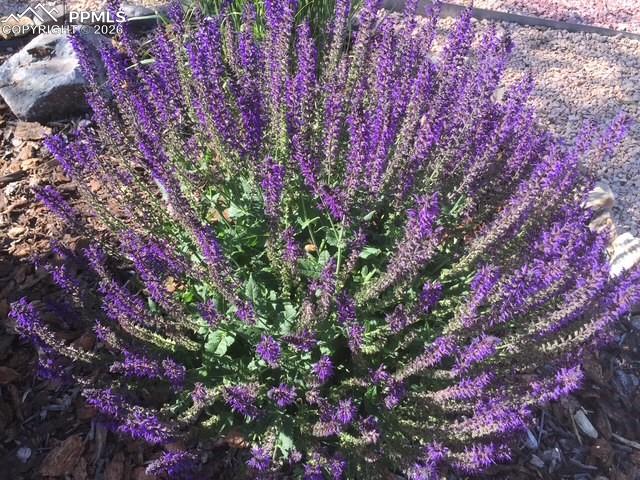 Image 34 of 40: Other