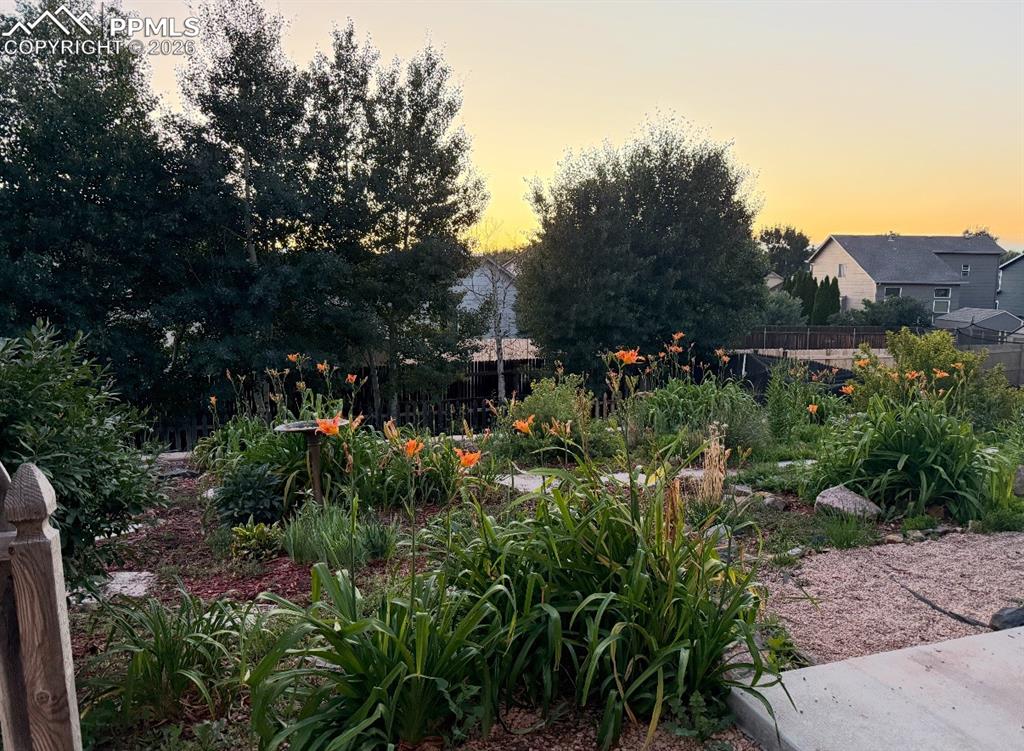 Image 36 of 40: Yard