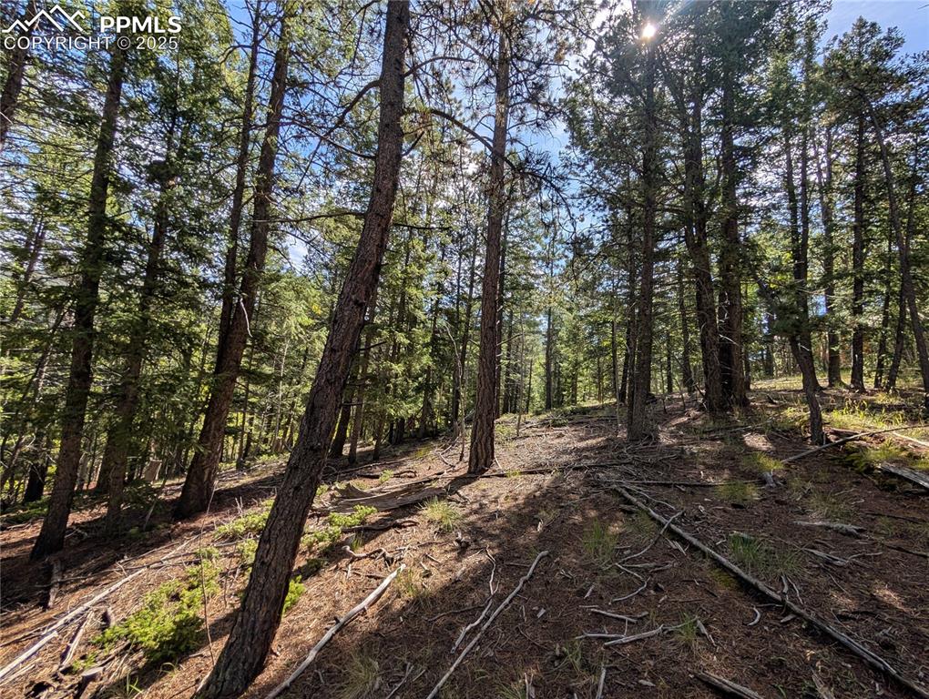 Image 10 of 18: Other