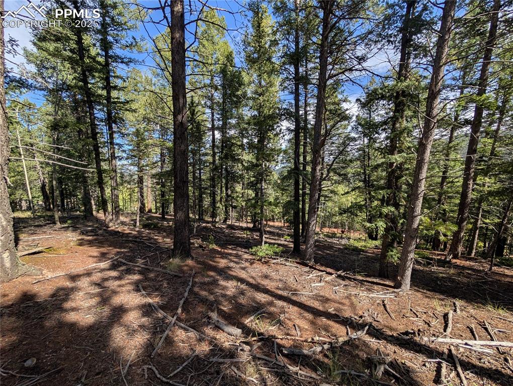 Image 11 of 18: Other