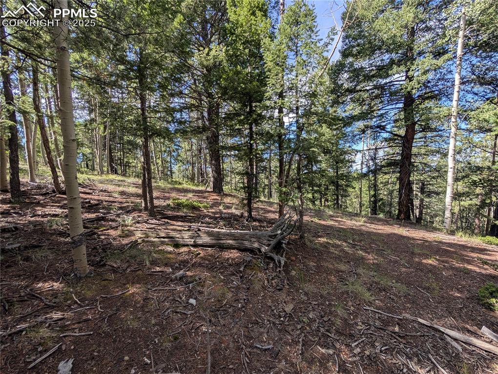 Image 13 of 18: Other