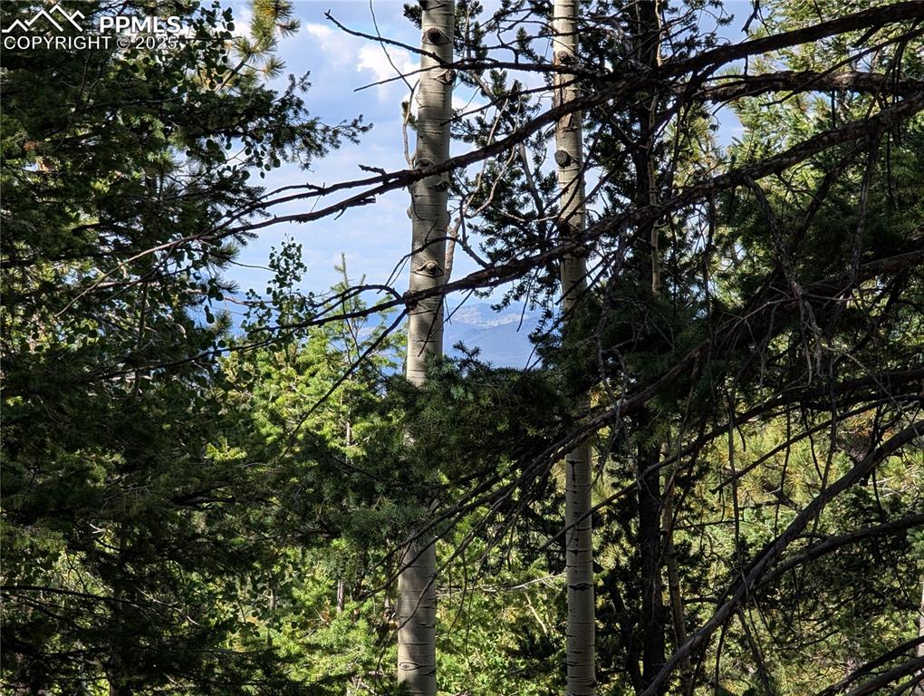 Image 14 of 18: Other