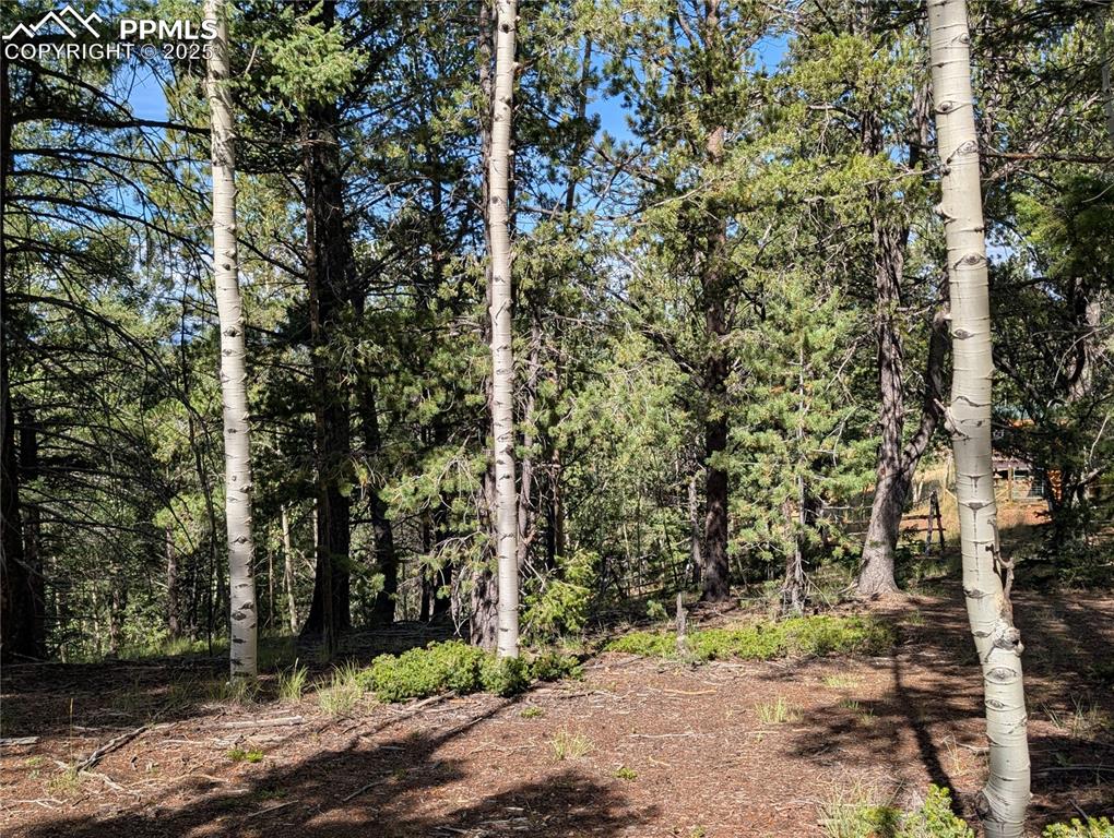 Image 15 of 18: Other