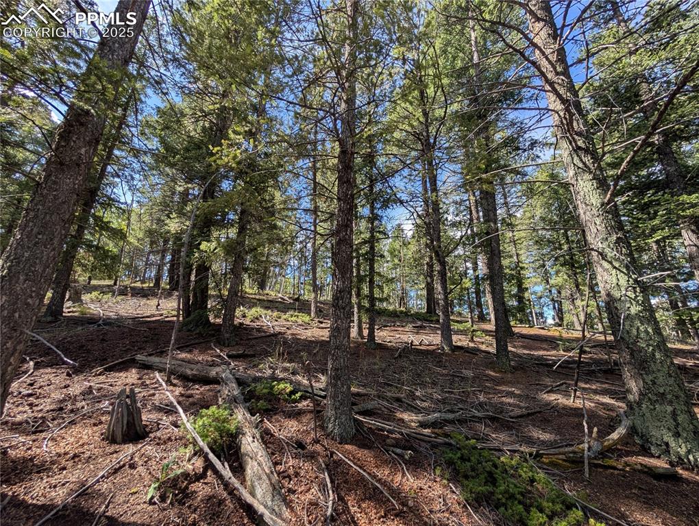 Image 16 of 18: Other