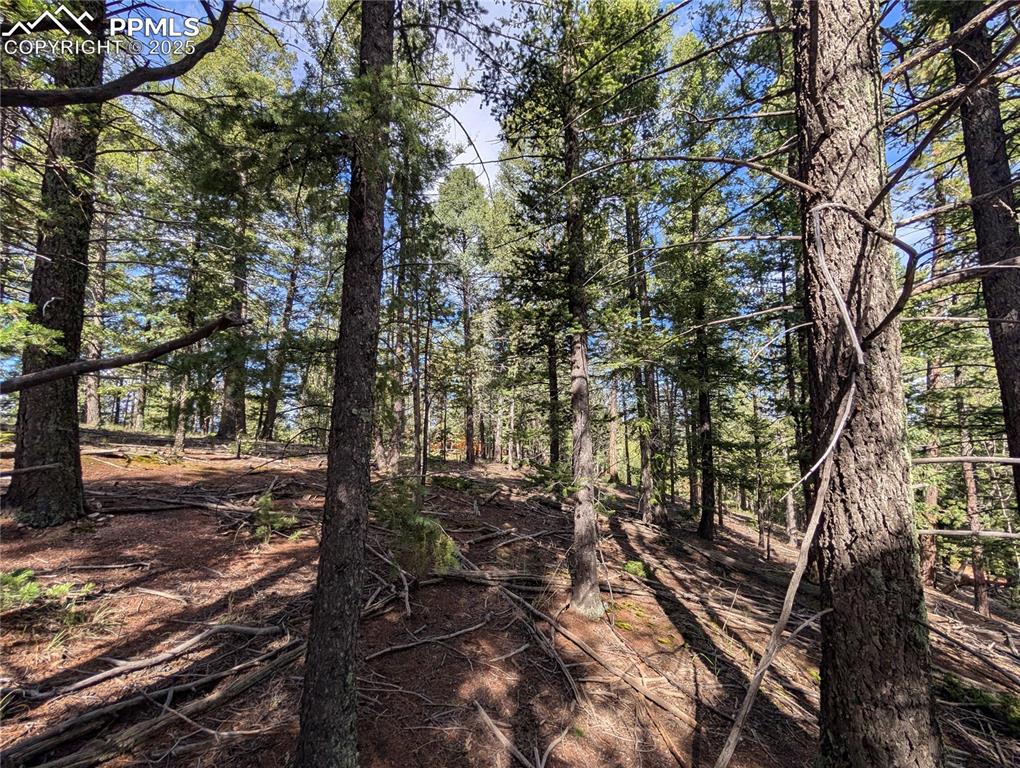 Image 17 of 18: Other