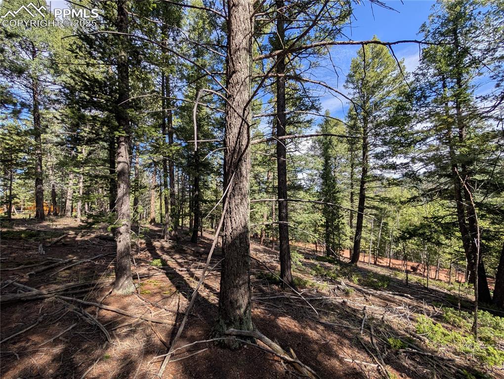 Image 18 of 18: Other