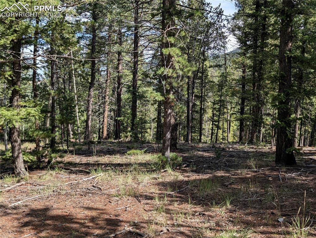 Image 2 of 18: Other