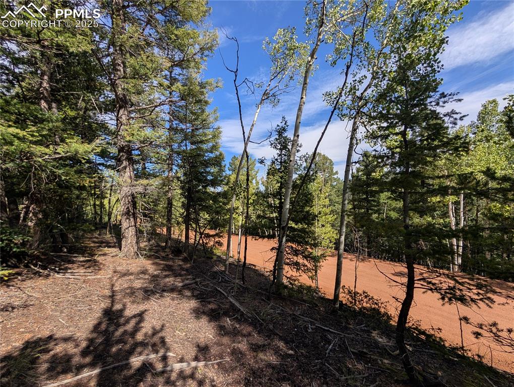 Image 5 of 18: Other