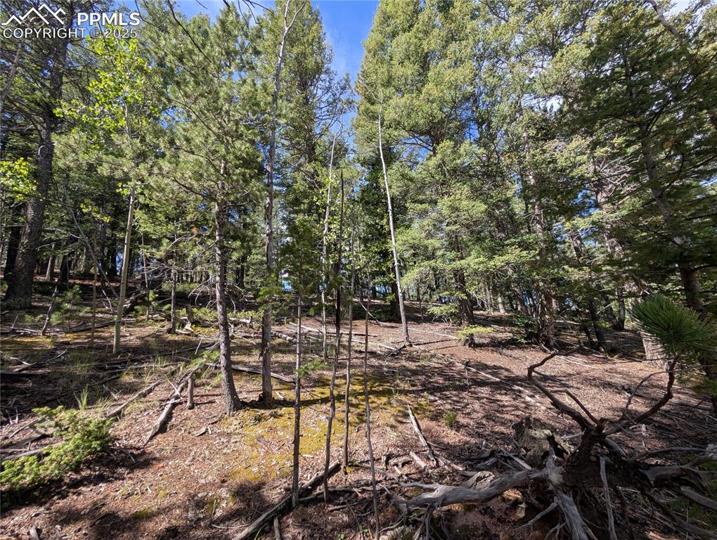 Image 6 of 18: Other