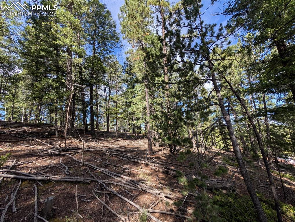 Image 8 of 18: Other