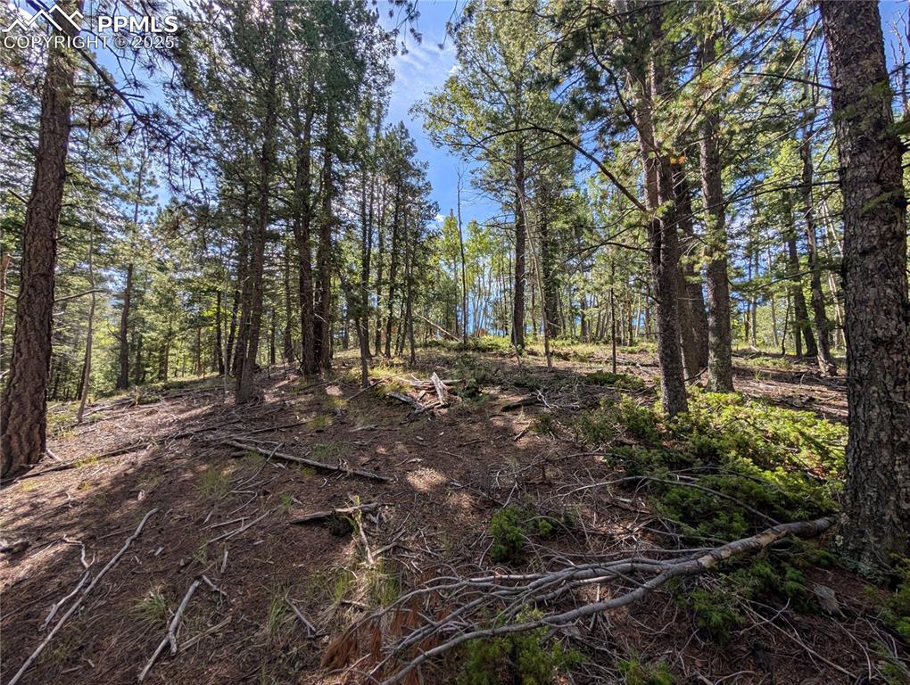 Image 9 of 18: Other