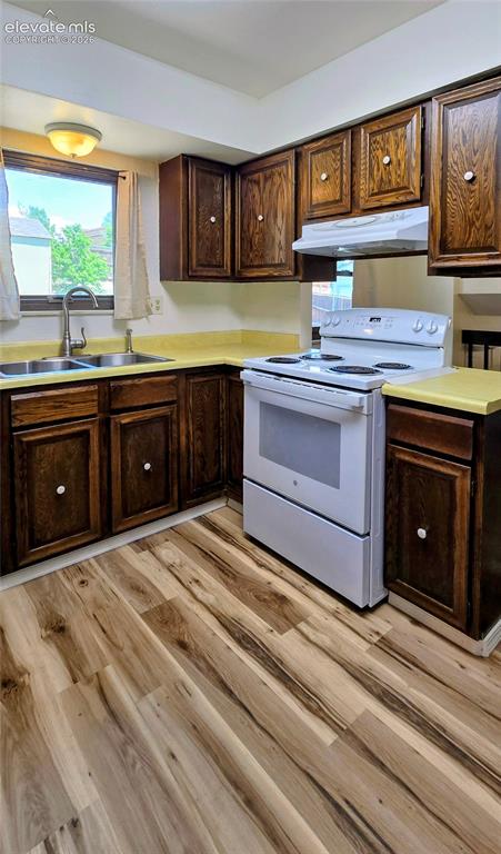 Image 12 of 19: Kitchen