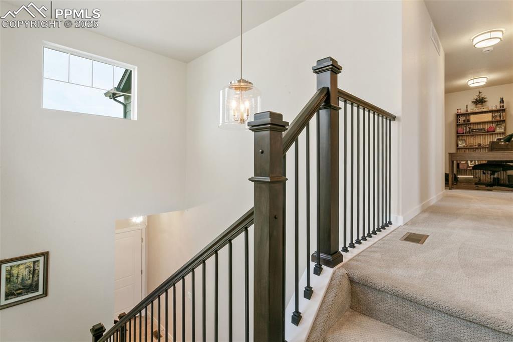Image 19 of 50: Staircase with carpet flooring