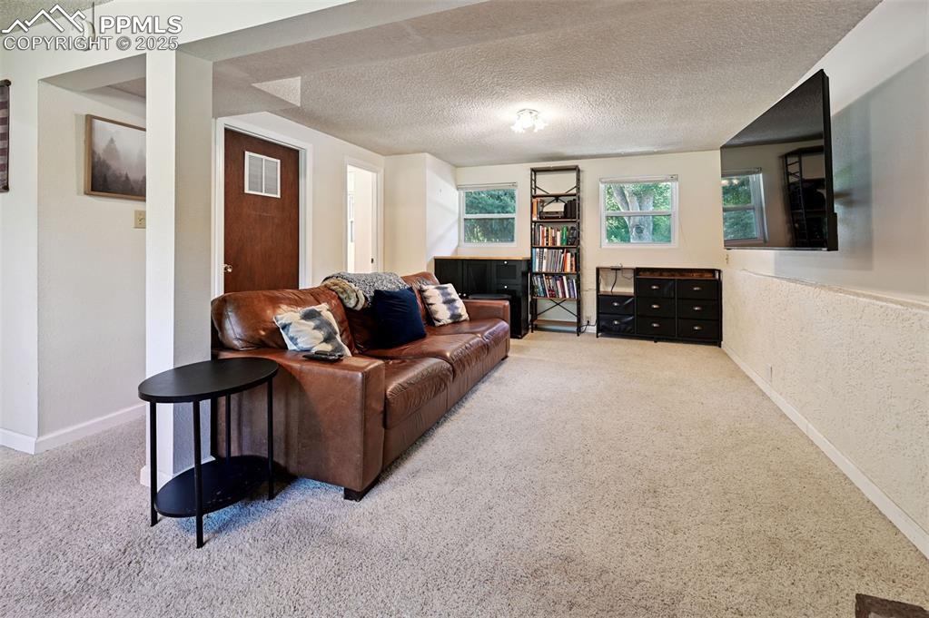 Image 17 of 31: Carpeted living room featuring a textured ceiling
