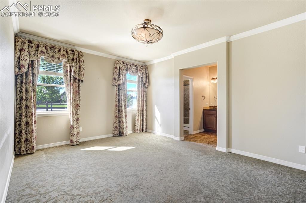 Image 11 of 36: Empty room featuring crown molding and carpet