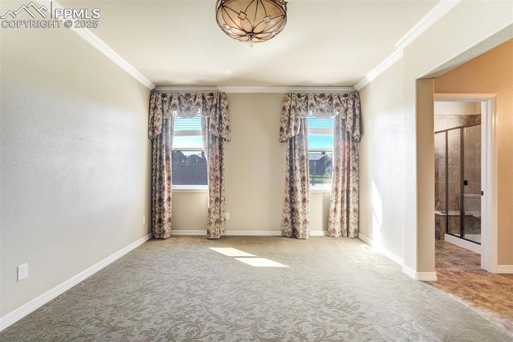 Image 12 of 36: Carpeted empty room with healthy amount of natural light and crown molding