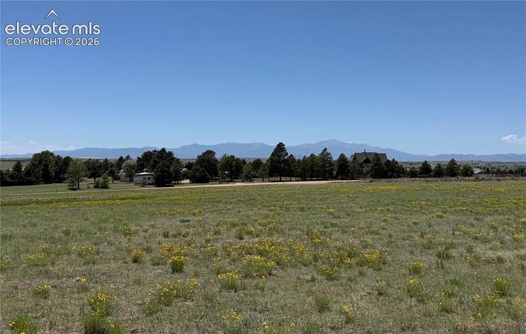 Caption: Very pretty property with lovely views and nice grassland