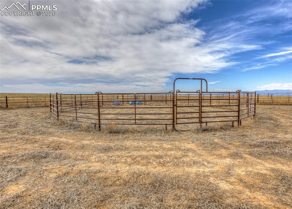 Image 37 of 50: Yard