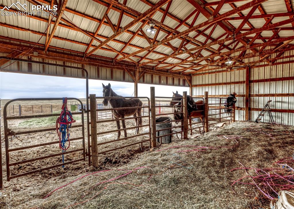 Image 38 of 50: Stable