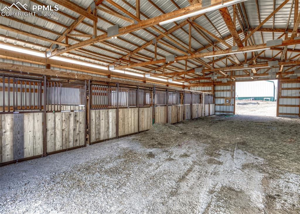 Image 41 of 50: Stable