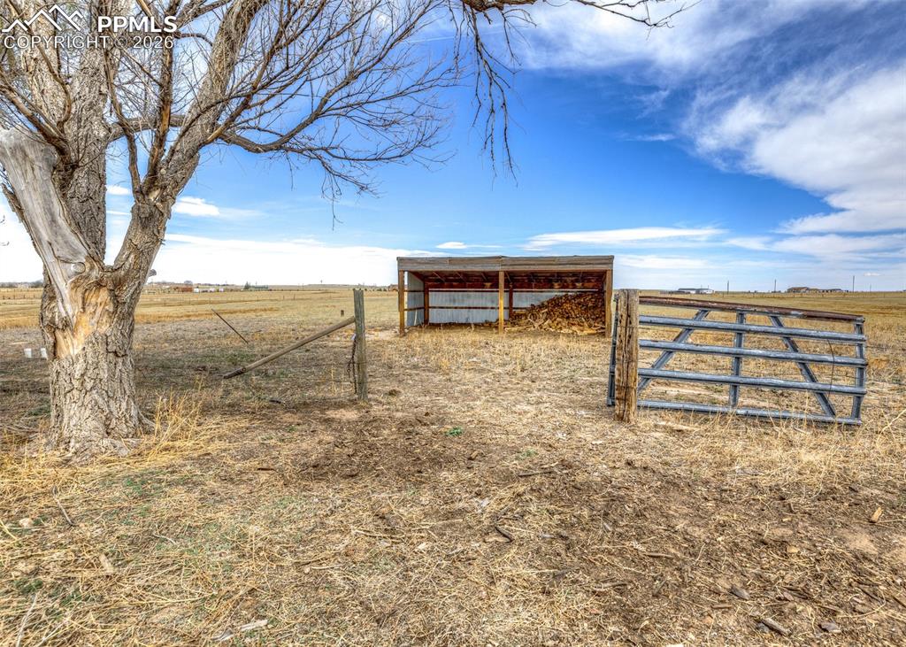 Image 43 of 50: Yard