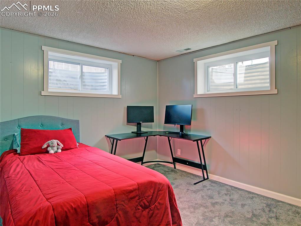 Image 22 of 30: Basement Bedroom with walk-in Closet