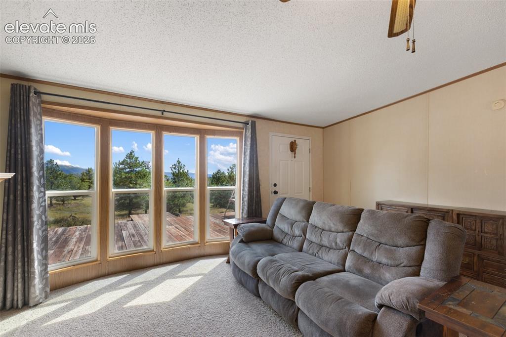Image 15 of 39: Living Room