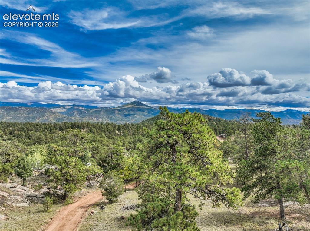 Image 6 of 39: View