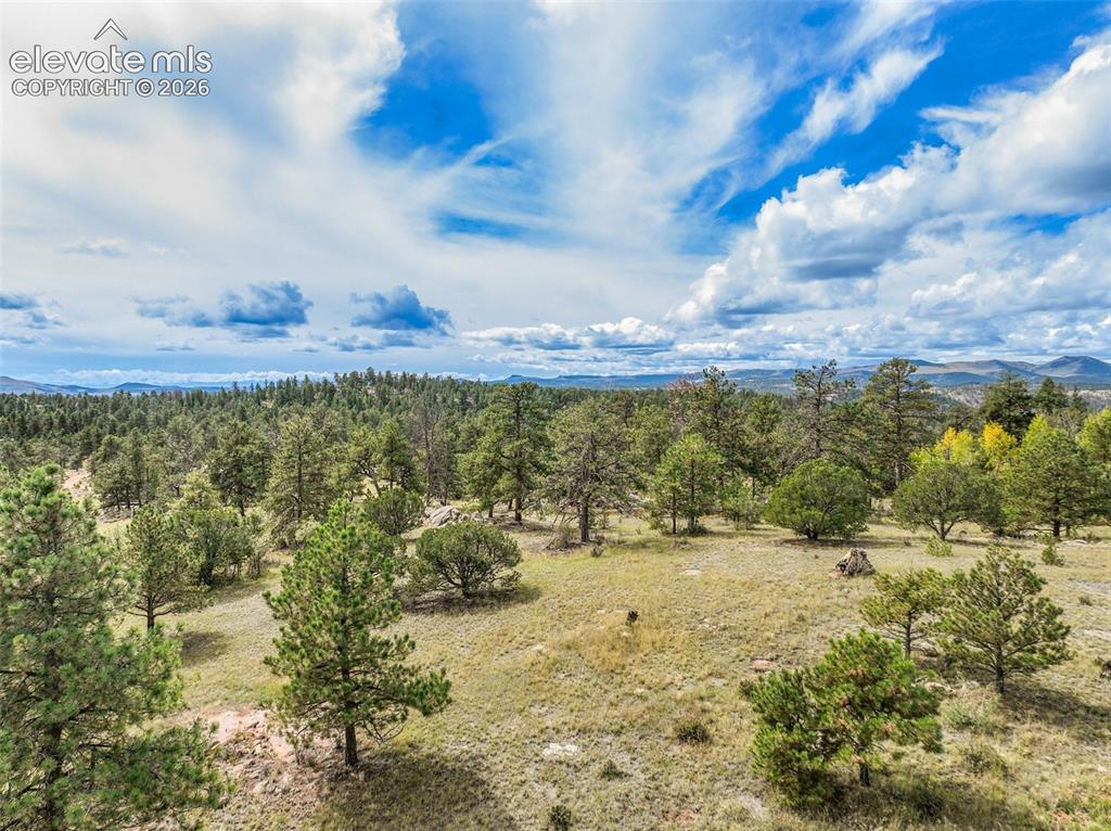 Image 9 of 39: Other