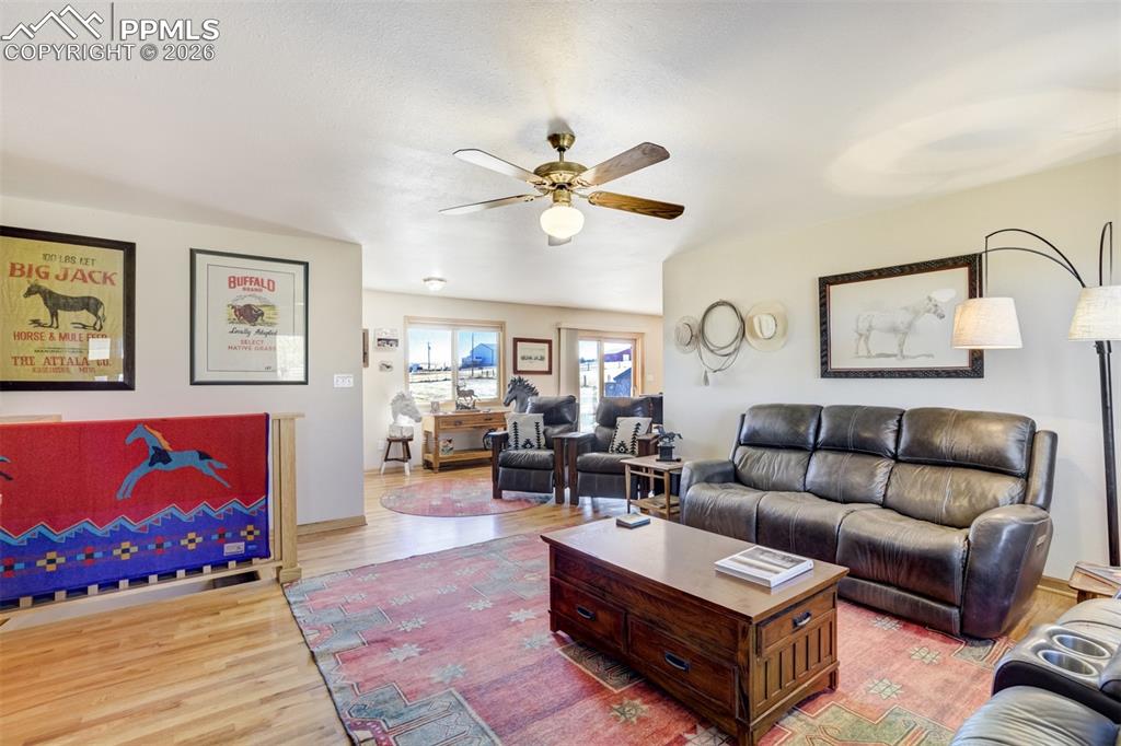 Image 12 of 50: Living room featuring light wood finished floors and ceiling fan