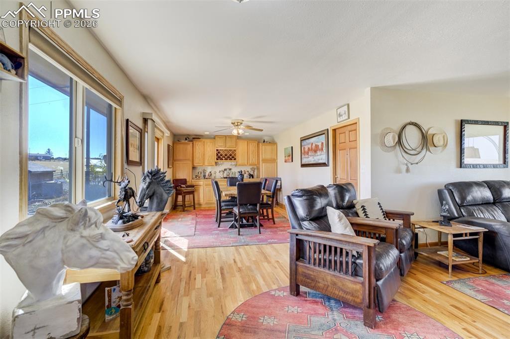 Image 14 of 50: Living room featuring ceiling fan and light wood-type flooring