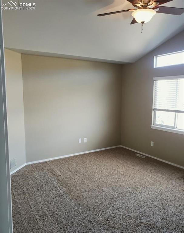 Image 12 of 31: Other